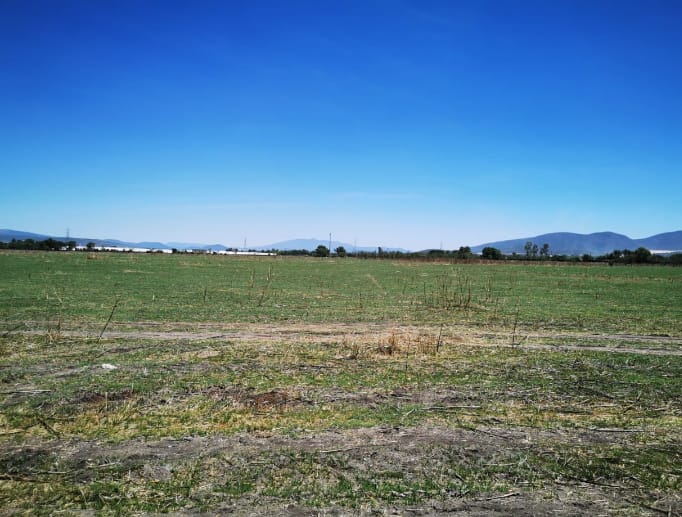 Terreno de 86Ha. ubicado en el Municipio de Colón, con concesión de pozo, luz a pie de lote y titulo de propiedad.